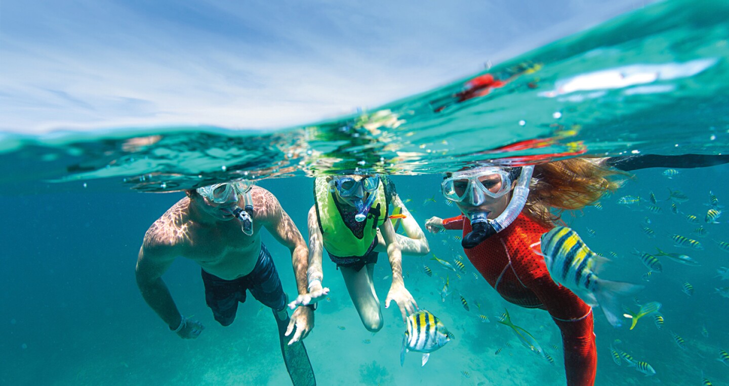 Scuba diving in Key Largo