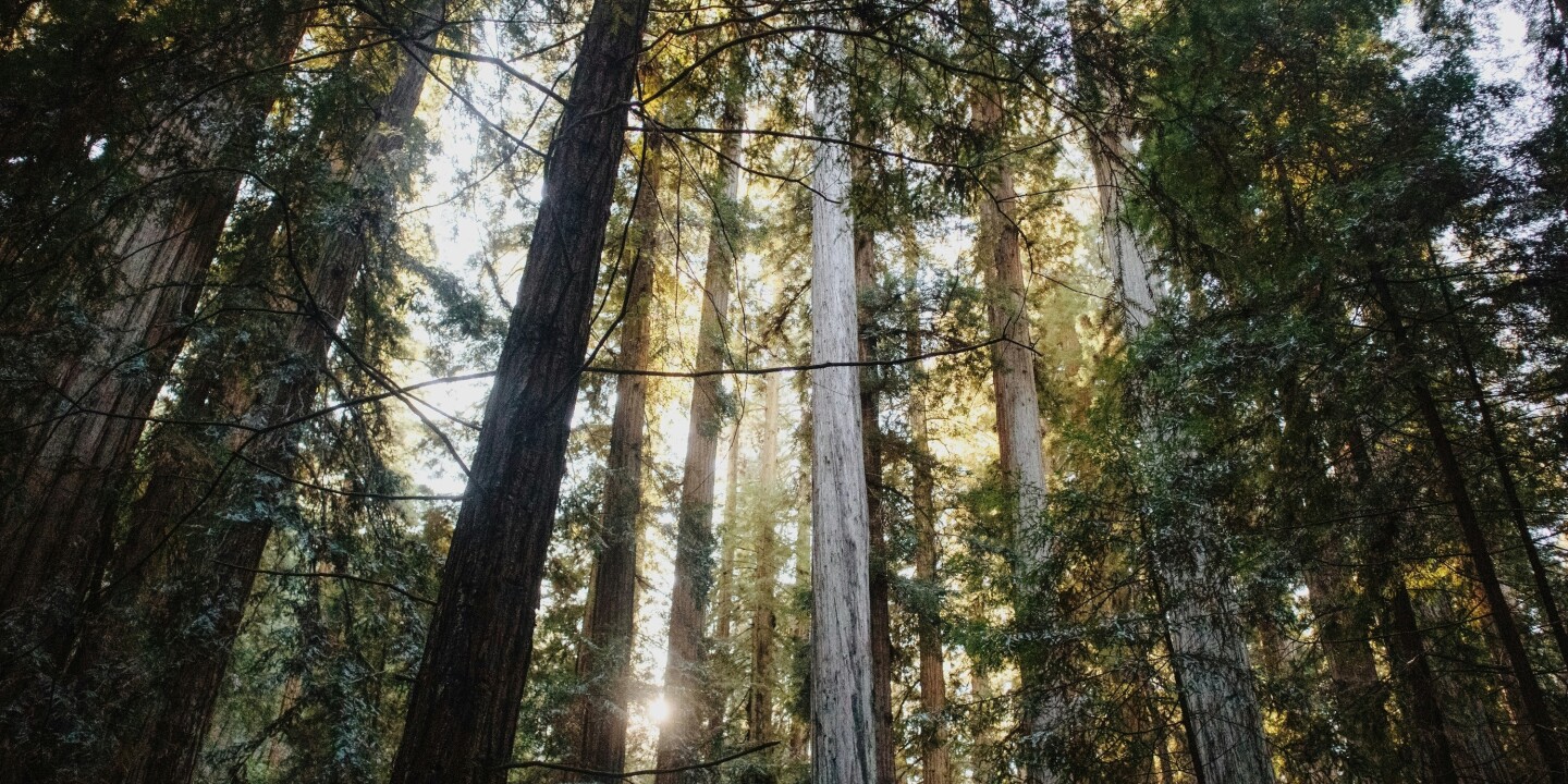 Diese unterschätzte Region Kaliforniens erhält drei neue State Parks
