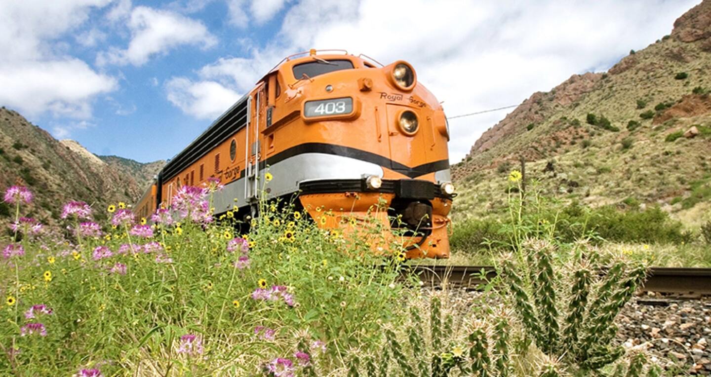 An orange train behind wildflowers
