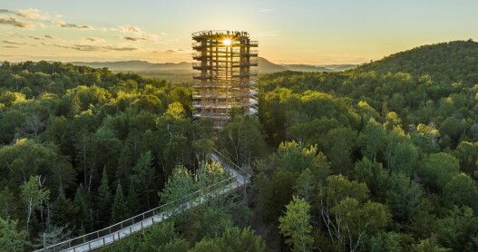 A high view of a walkway elevated to the height or treetops and a lookout structure at Laurentian Treetops Trail in Laurentides, Quebec