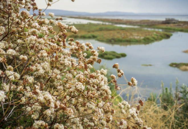 Screenshot 2024-02-27 at 1.44.59 PM.png