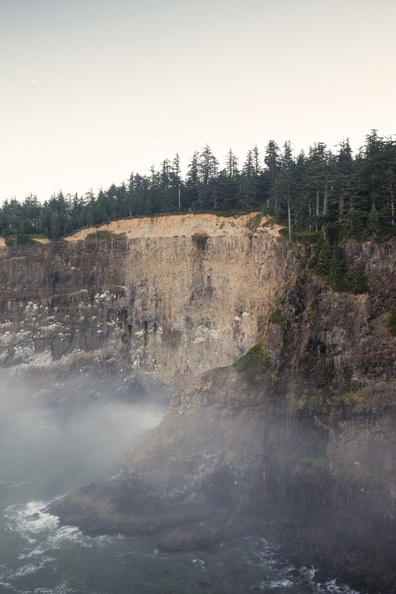 The Oregon coast looks daunting from the Cape Meares Lighthouse bluffs, but the waters hold vast promise for adventurous foragers.