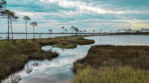 The marsh and water at the Bon Secour National Wildlife Refuge in Alabama