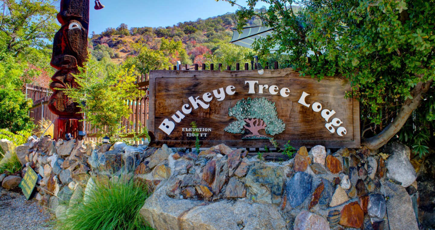 The Buckeye Tree Lodge
