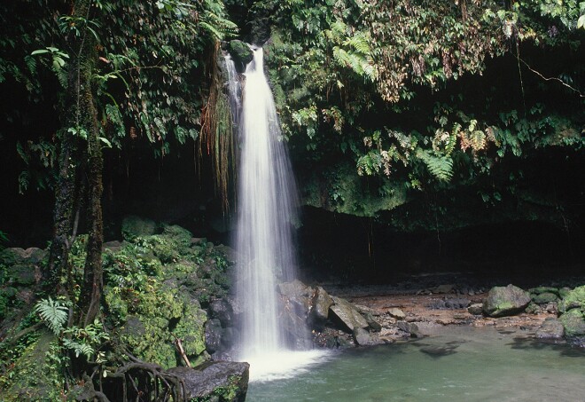 Waterfall pours into rockpool. One of the main cascades. Emerald pool. Close by Papillote Retreat.