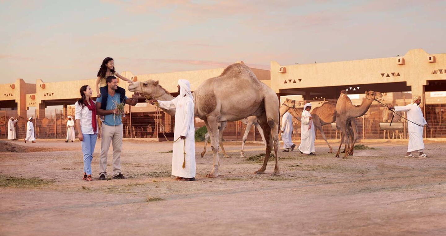 A man shows a camel to a family.