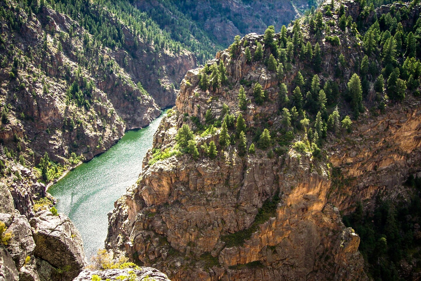 A green river flowing between two rocky canyons topped with evergreen trees.