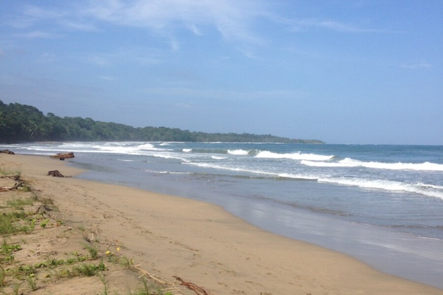 Why You Should Go to the Caribbean Coast of Costa Rica