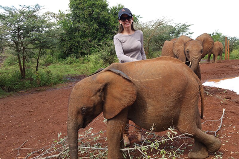 Visiting with the elephant orphans at the David Sheldrick Wildlife Trust in Nairobi, Kenya.