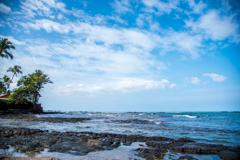 Waters near a rocky shoreline near trees