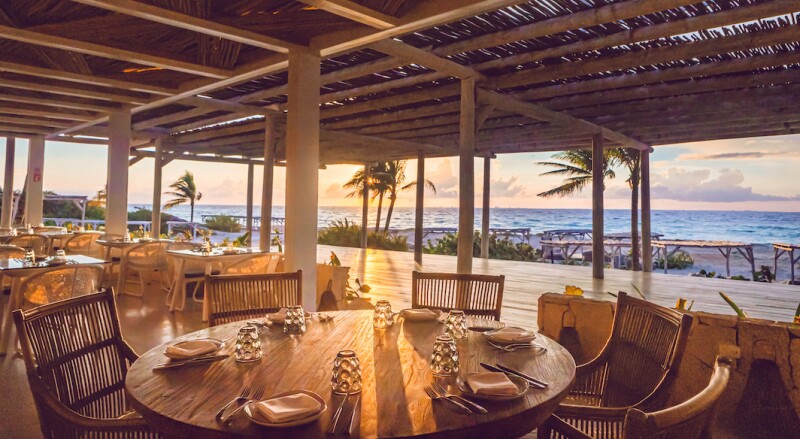 Palmaia, House of Aia, has four restaurants and one vegan taco food truck.