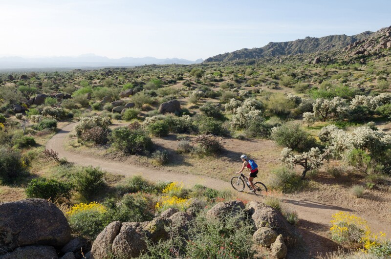 Mountain biking in places including the McDowell Mountains makes for an exhilaratingly active way to see the desert scenery.