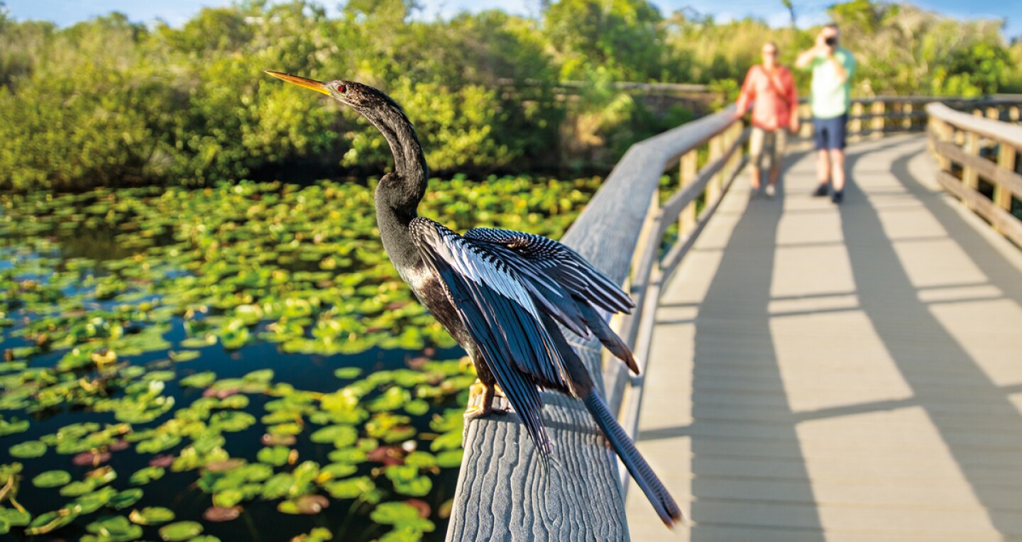 The Laura Quinn Wild Bird Sanctuary in Key Largo