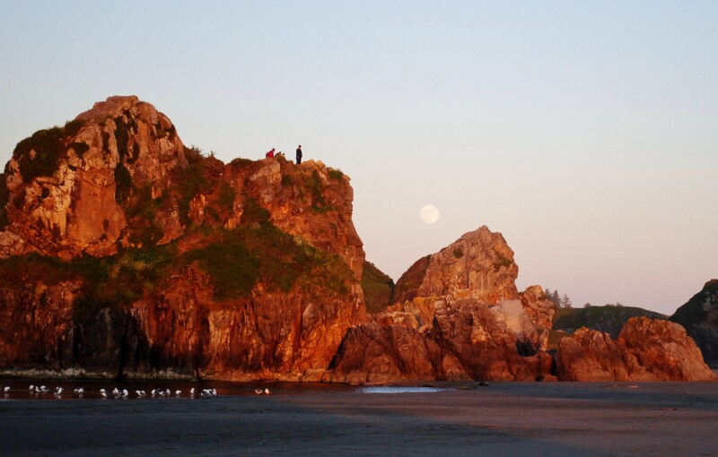 A group of four people on top of some rocks at Cannon Beach at Sunset, with a line of seagulls on the beach below the rocks and a full moon rising from behind them.