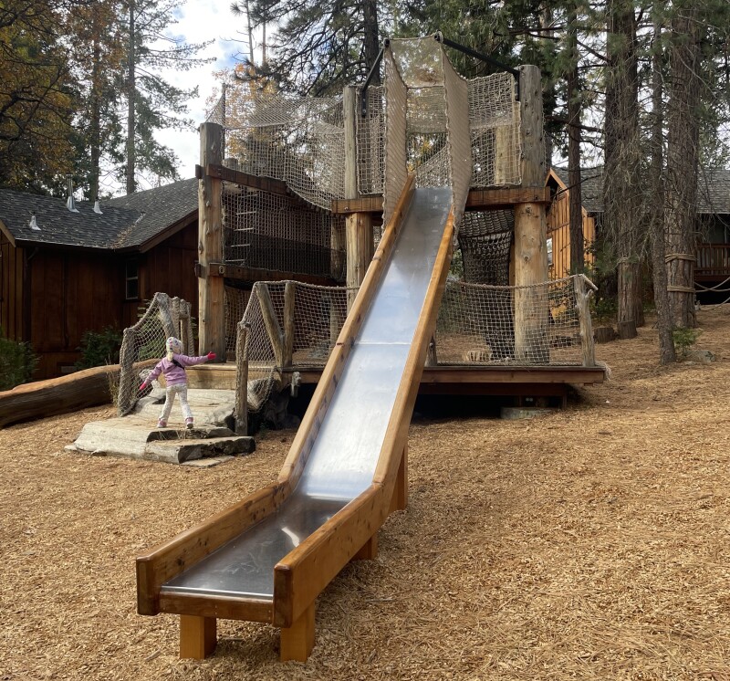 Large slide and climbing feature among the tall trees at Evergreen Lodge