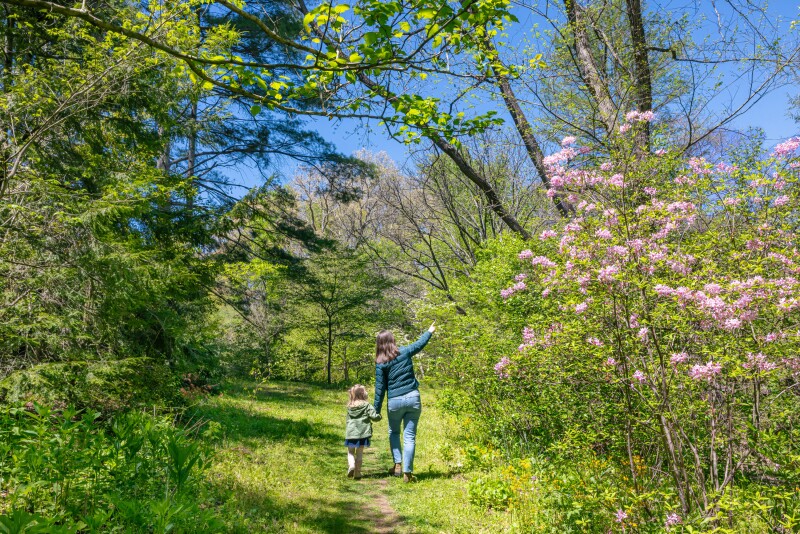 Visitors walk on a path at the Botanical Gardens at Asheville.