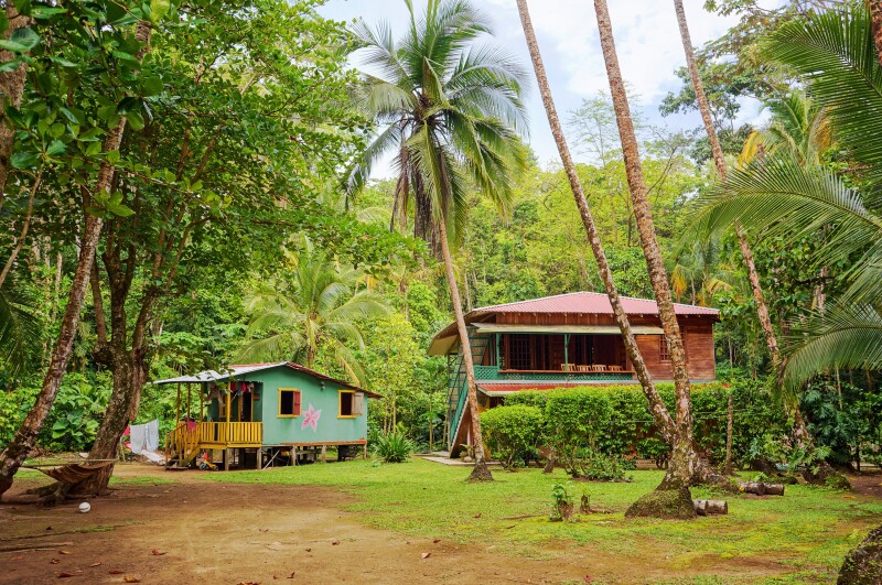 A Caribbean house and a hut amid tropical vegetation, including tall palm trees