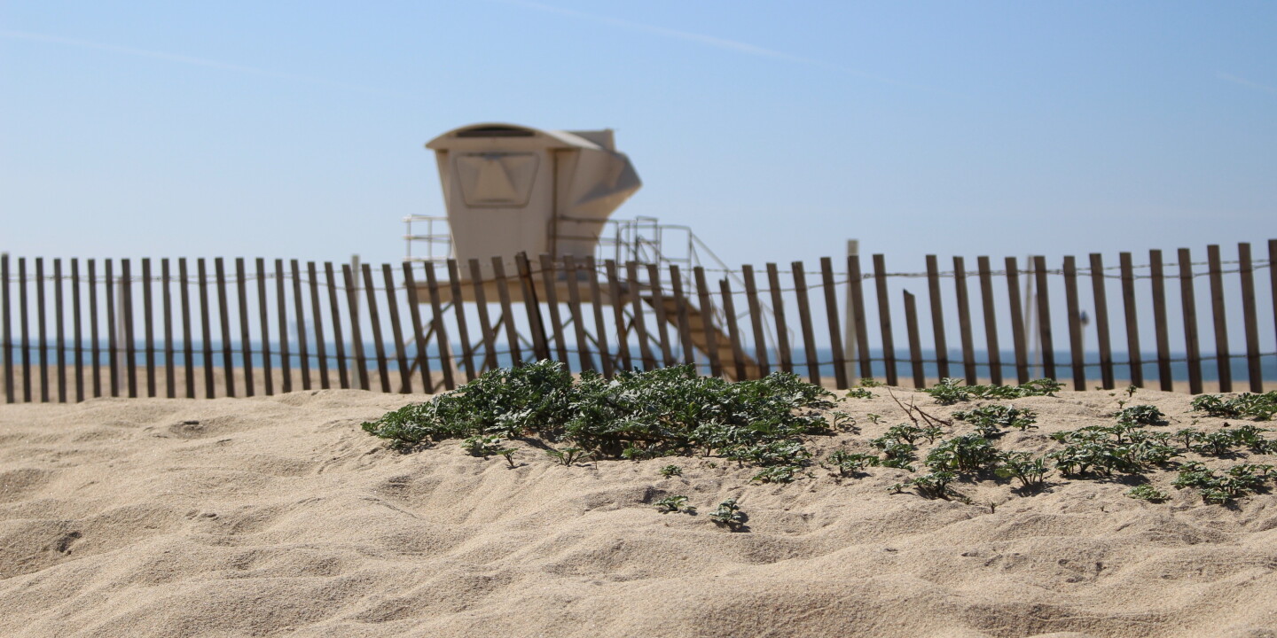 Pourquoi Huntington Beach est parfaite pour un long week-end