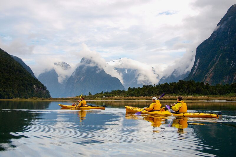 Three people wearing yellow life jackets paddle in yellow kayaks in Milford Sound, New Zealand, with trees and mountains in the distance