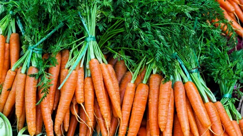 Carrots