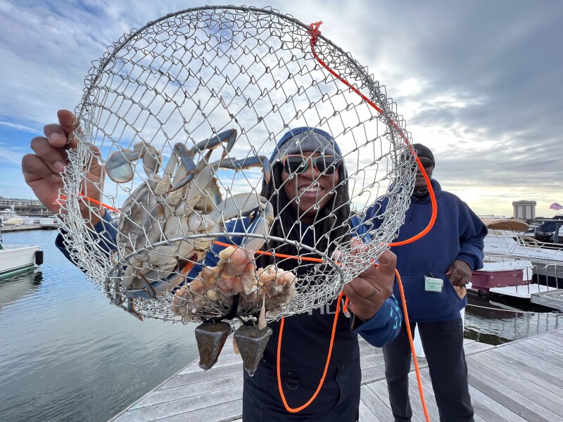 A person on a dock holds up a net containing a crab